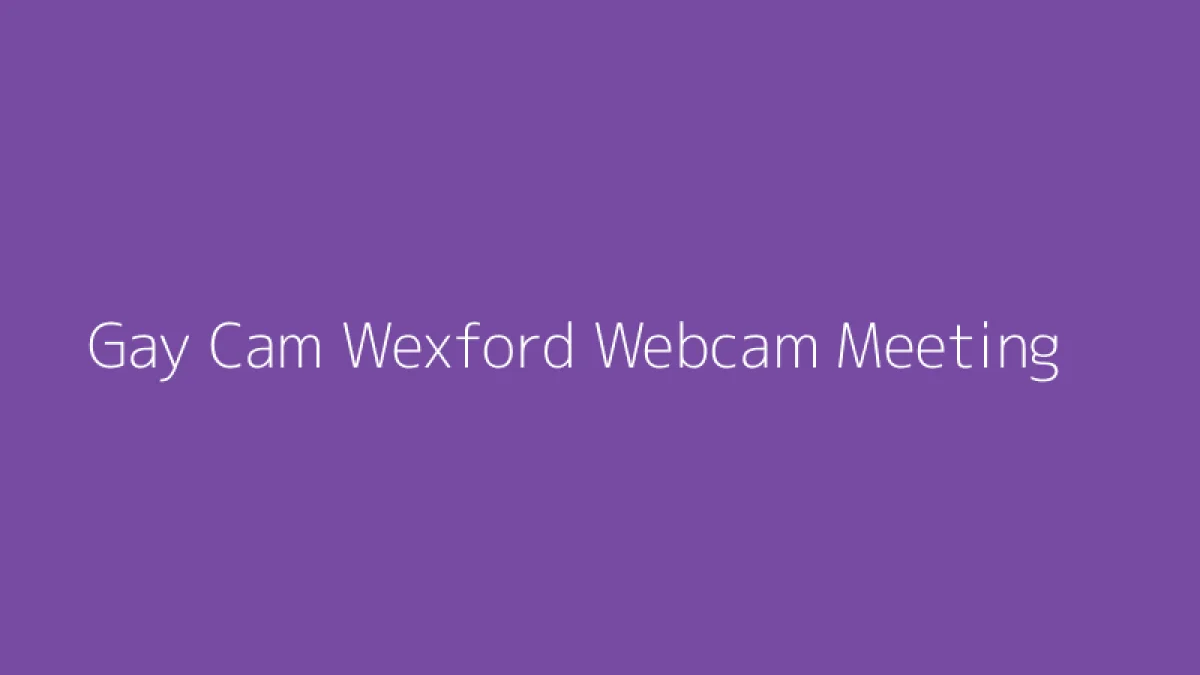 Gay Cam Wexford Webcam Meeting